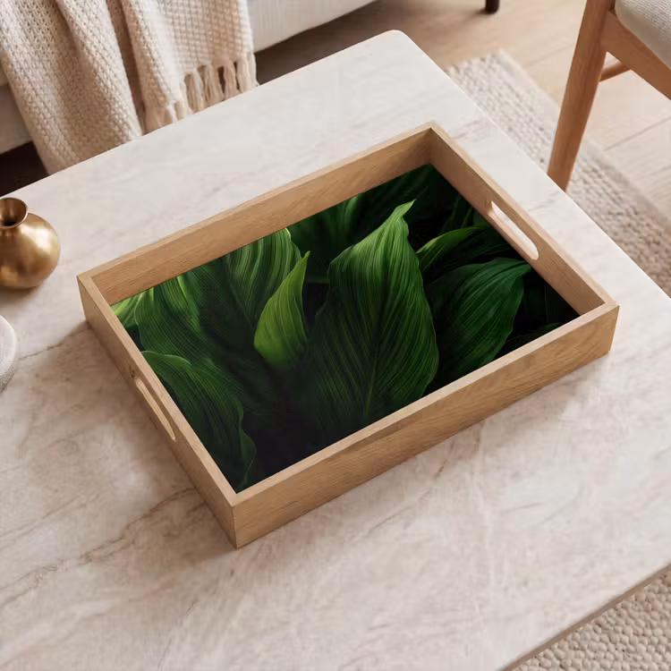 Dienblad - Bladeren - Schaduw - Groen - Textuur — 2