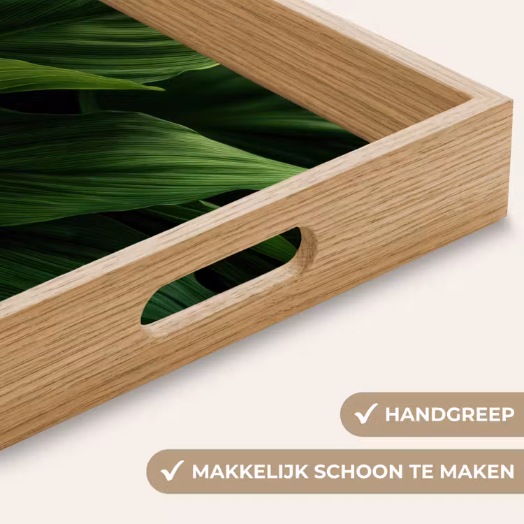 Dienblad - Bladeren - Schaduw - Groen - Textuur — 5