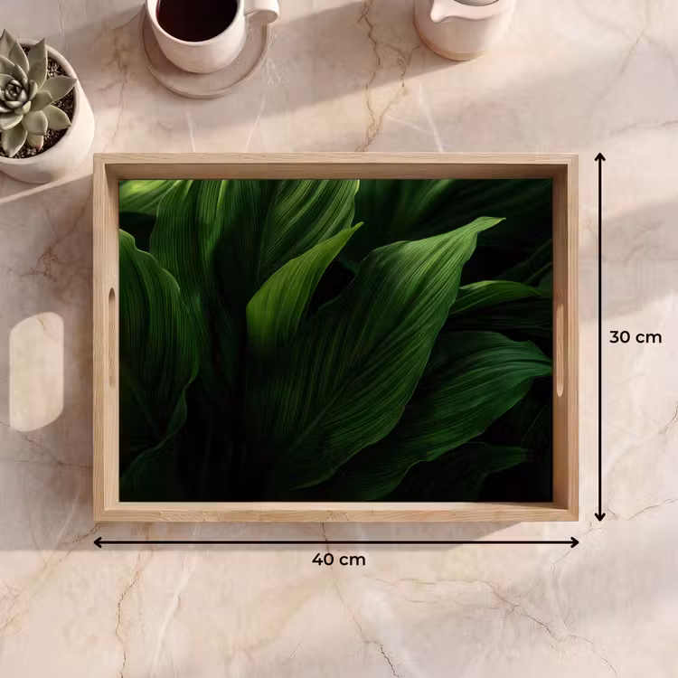 Dienblad - Bladeren - Schaduw - Groen - Textuur — 9