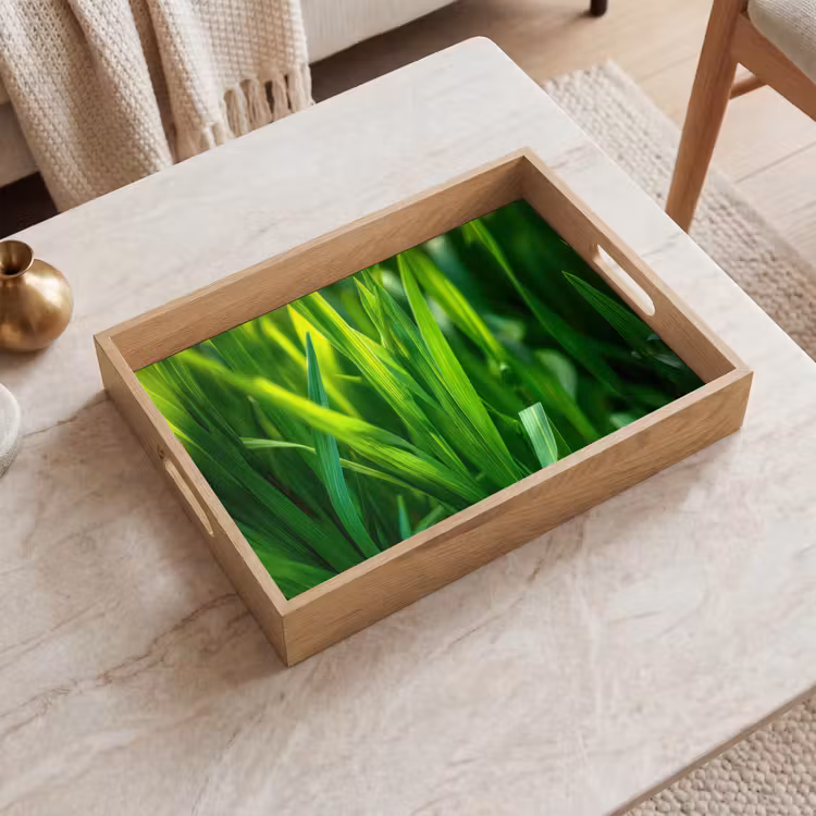 Dienblad - Grassprieten - Lichtinval - Groen — 2