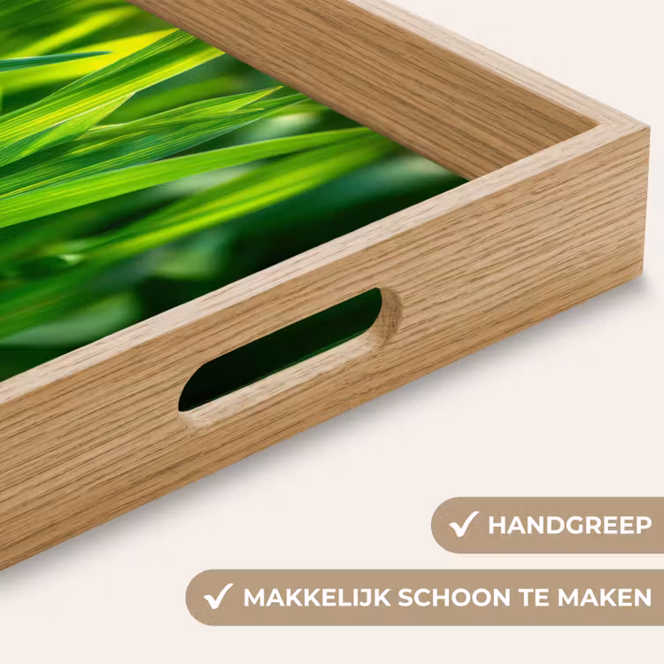 Dienblad - Grassprieten - Lichtinval - Groen — 5
