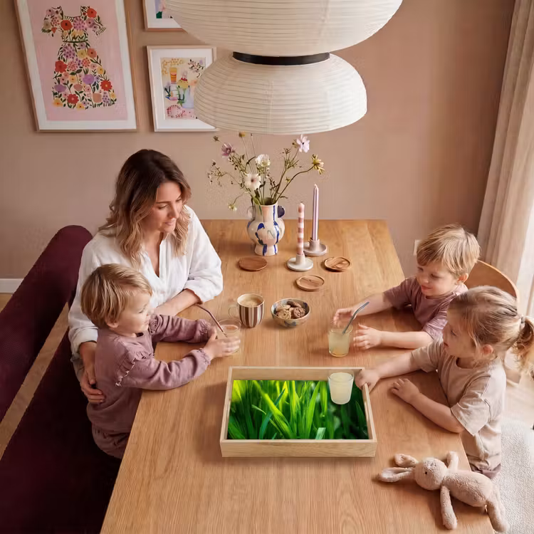 Dienblad - Grassprieten - Lichtinval - Groen — 7