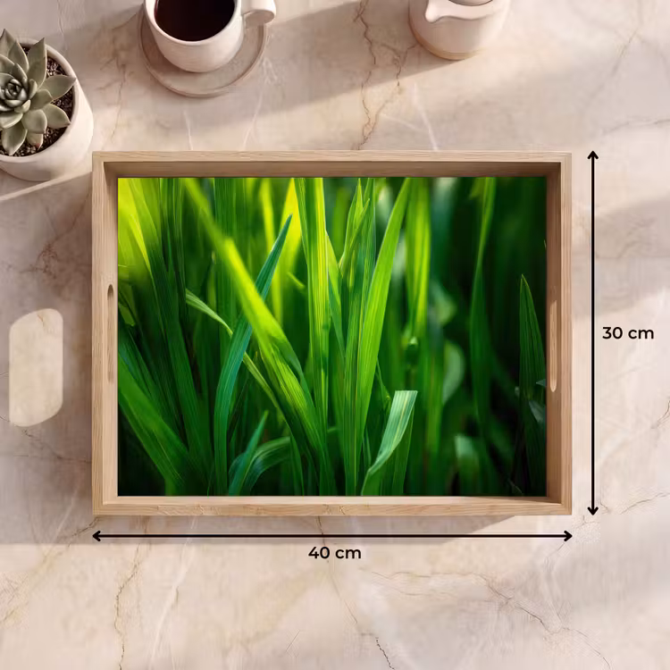 Dienblad - Grassprieten - Lichtinval - Groen — 9