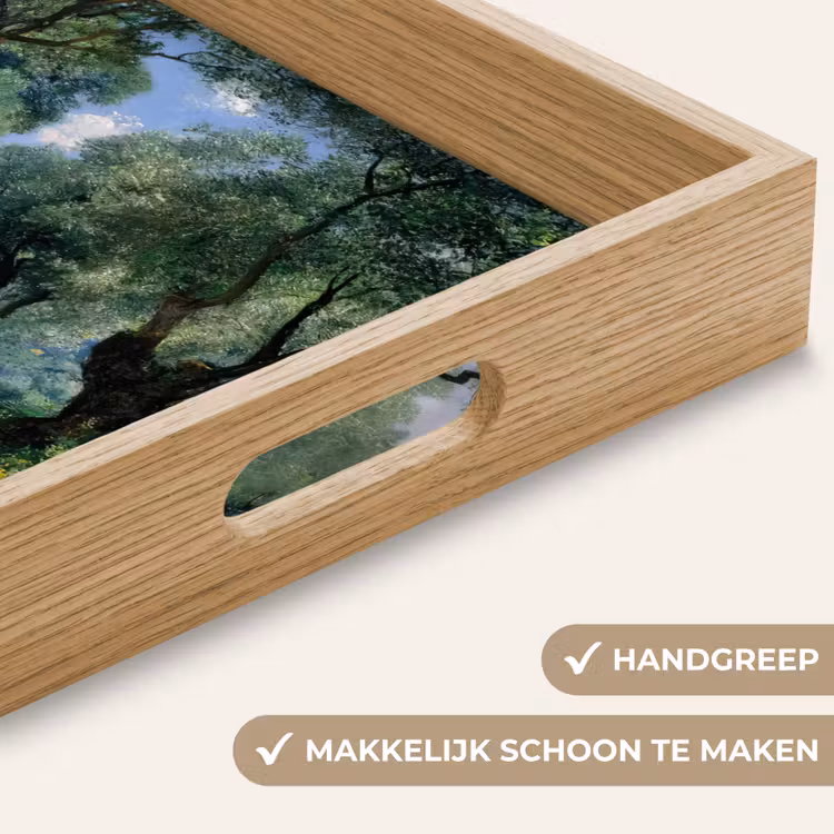 Dienblad - Pad - Bomen - Schaduw - — 5