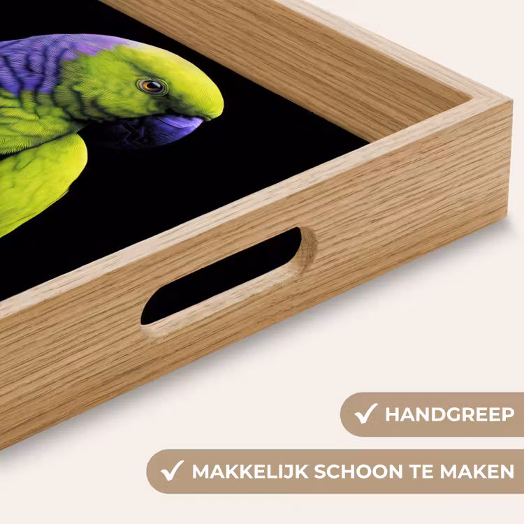 Dienblad - Papegaai - Veren - Opvallend - Groen — 5