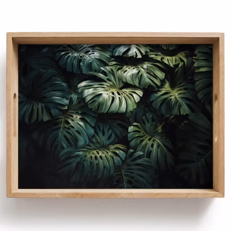 Dienblad - Plant - Monstera - Lichtinval — 1