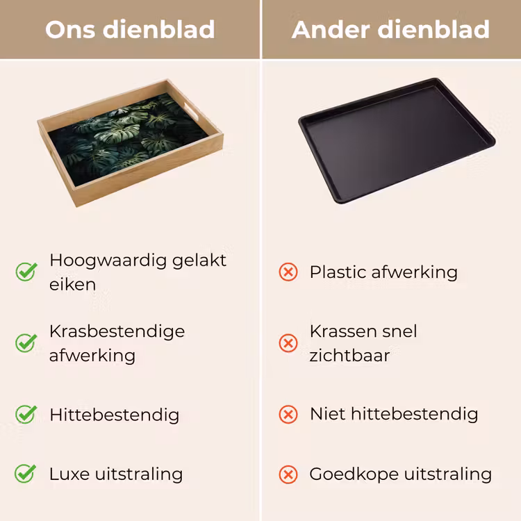 Dienblad - Plant - Monstera - Lichtinval — 3