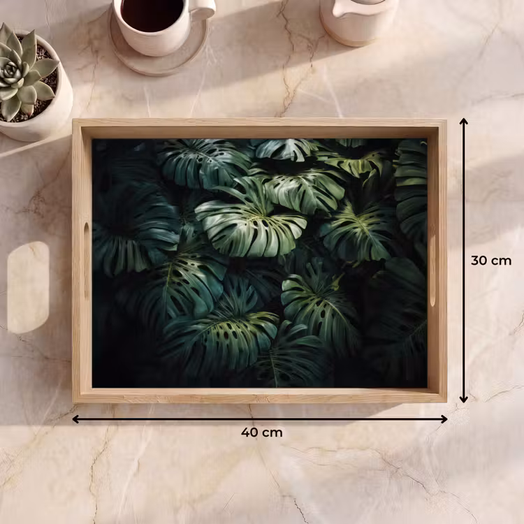 Dienblad - Plant - Monstera - Lichtinval — 9