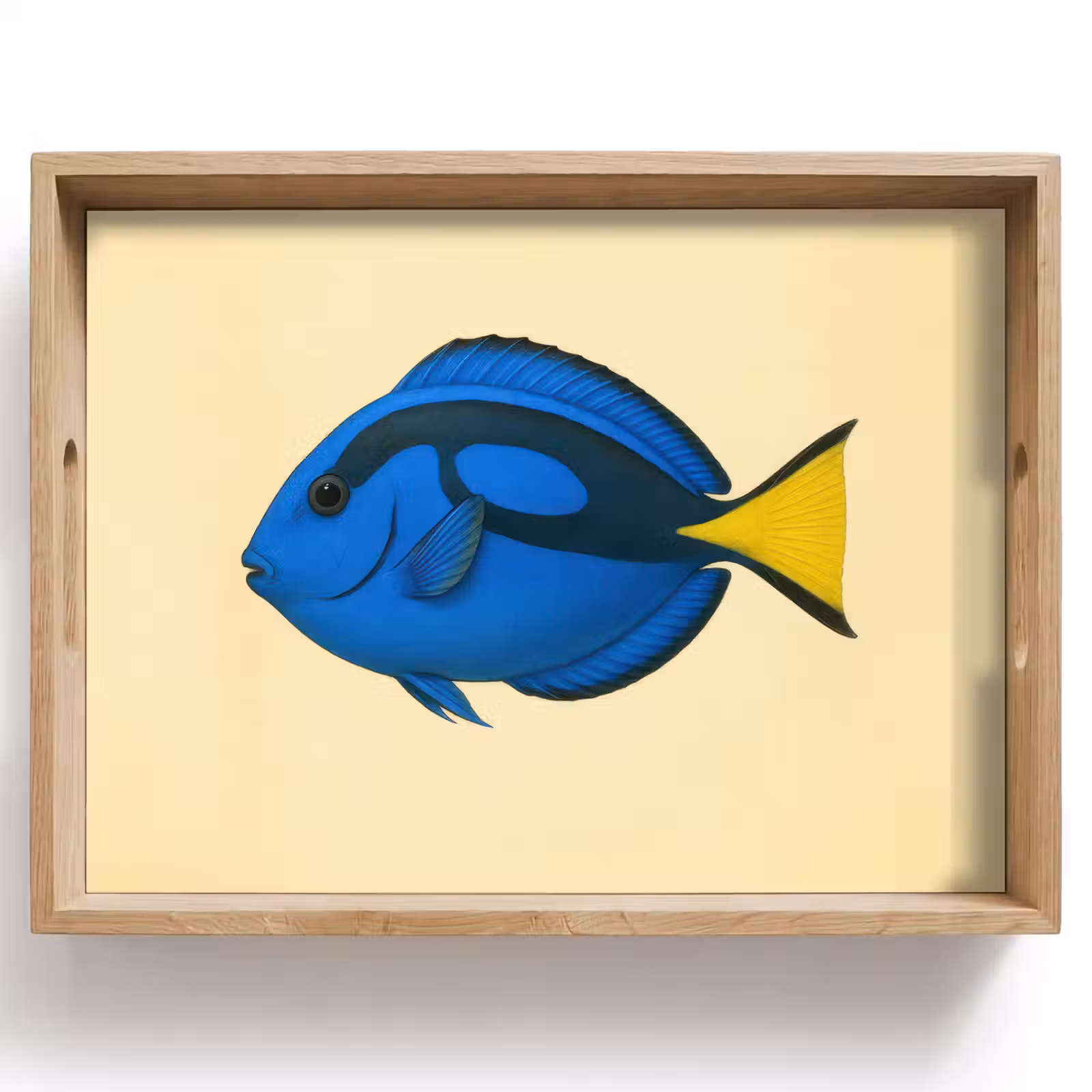Dienblad - Blauw - Dory - Vis - Staartvin — 1