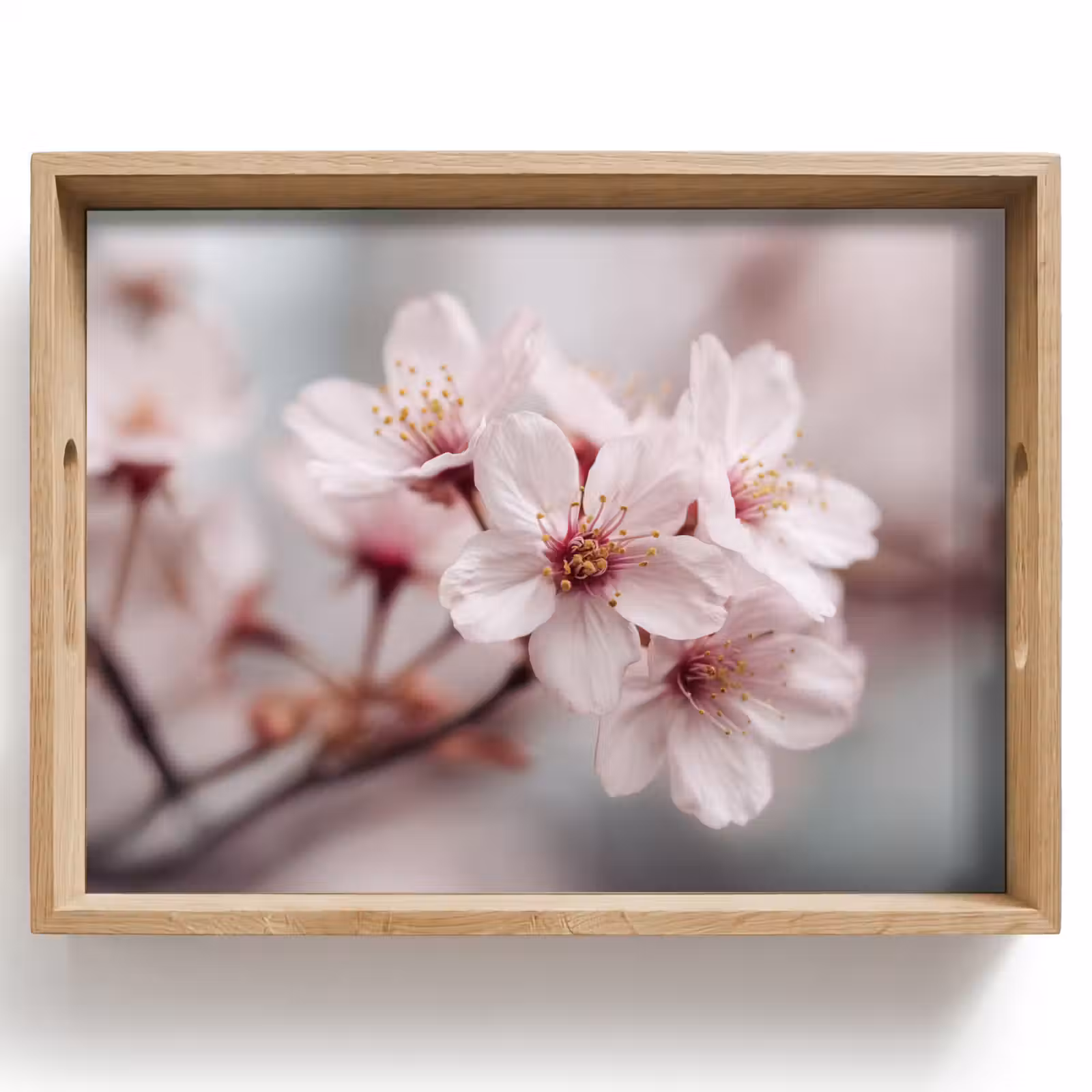 Dienblad - Bloesems - Meeldraden - Geel - Wazig — 1