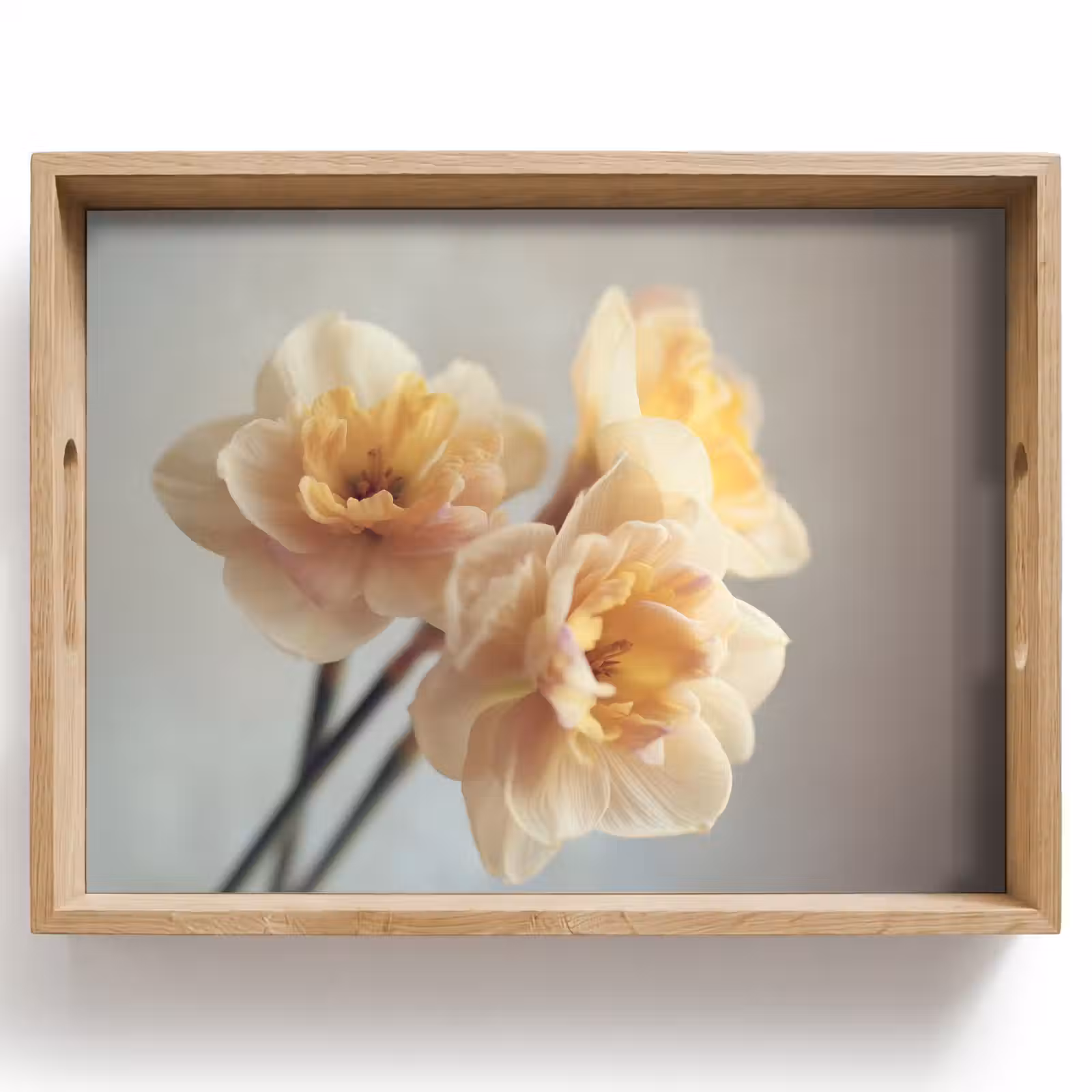 Dienblad - Narcissen - Geel - Bloemblaadjes — 1