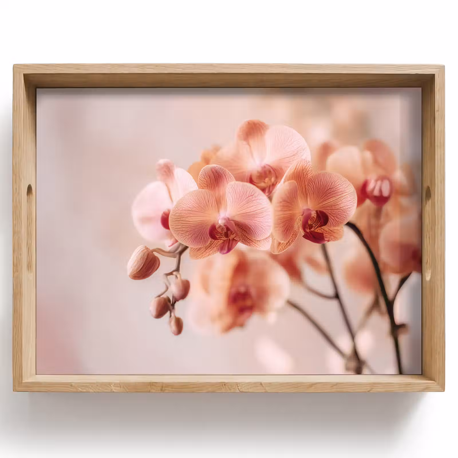 Dienblad - Orchidee - Bloemen - Roze - Bloemblaadjes — 1