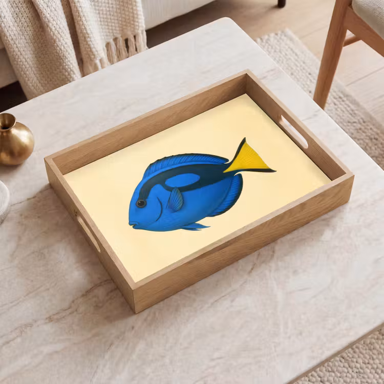 Dienblad - Blauw - Dory - Vis - Staartvin — 2