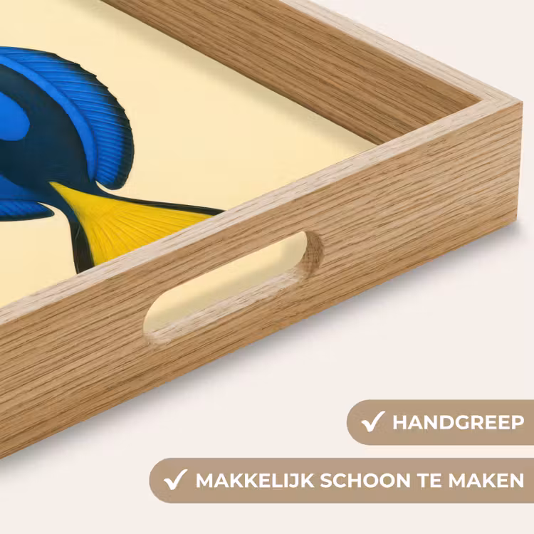Dienblad - Blauw - Dory - Vis - Staartvin — 5