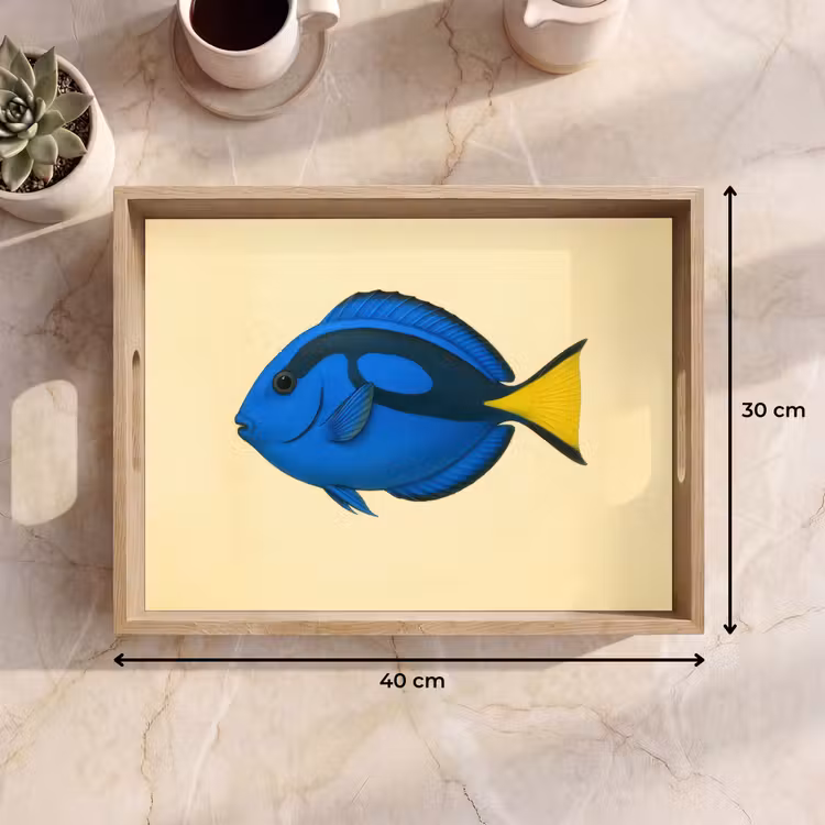 Dienblad - Blauw - Dory - Vis - Staartvin — 9
