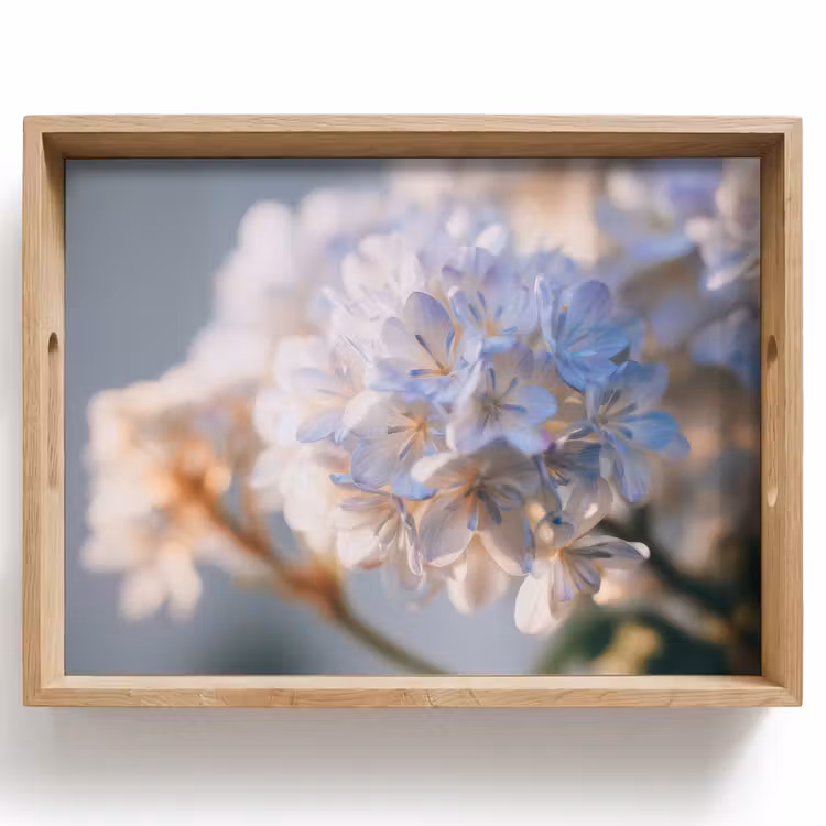 Dienblad - Bloemen - Lichtblauw - Wazig - Trosje — 1