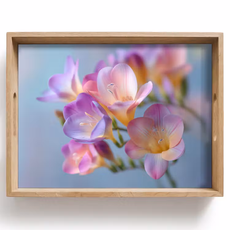 Dienblad - Bloemen - Paars - Overloop - Meeldraden — 1