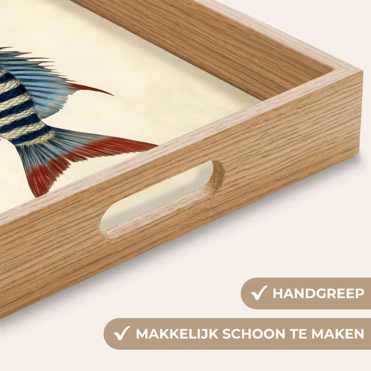 Dienblad - Gestreept - Donkerblauw - Rugvin - Vis — 5