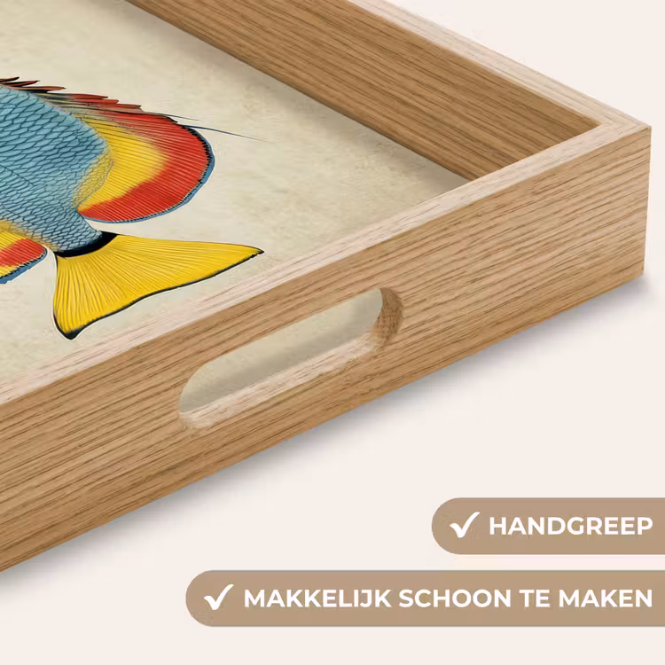 Dienblad - Kleurrijk - Vis - Schubben - Illustratie — 5