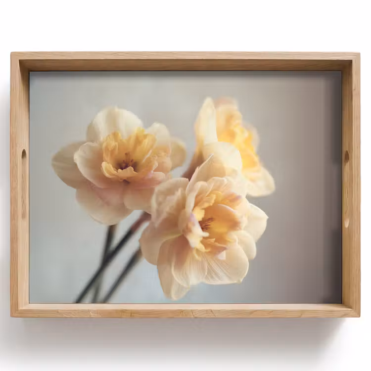 Dienblad - Narcissen - Geel - Bloemblaadjes — 1
