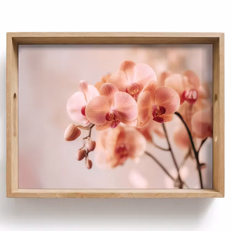 Dienblad - Orchidee - Bloemen - Roze - Bloemblaadjes — 1