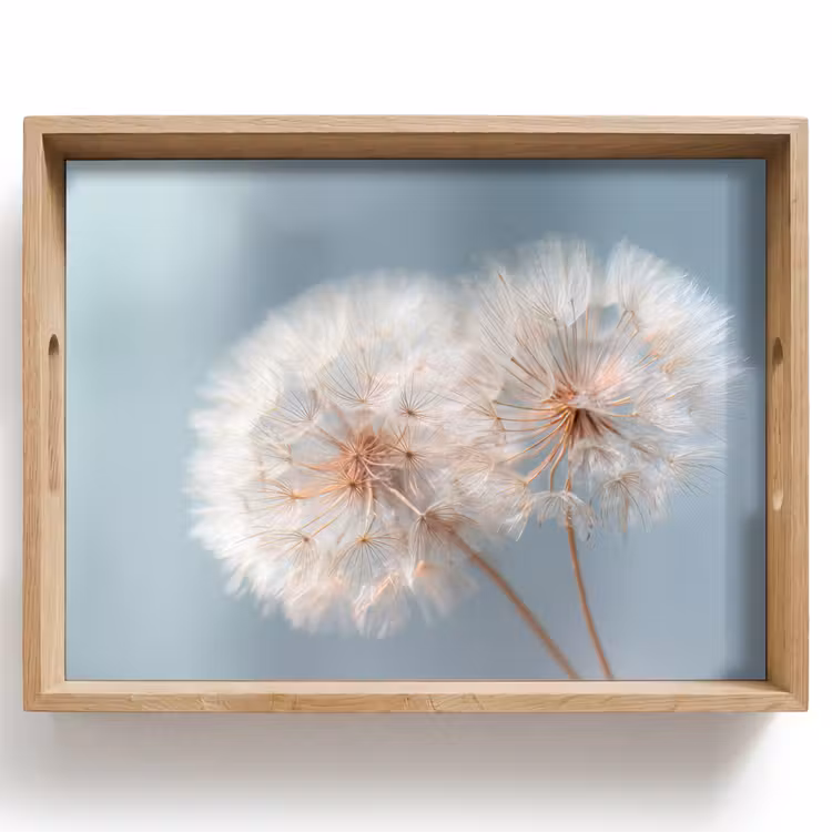 Dienblad - Paardenbloemen - Pluisjes - Wit — 1
