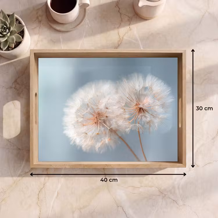 Dienblad - Paardenbloemen - Pluisjes - Wit — 9