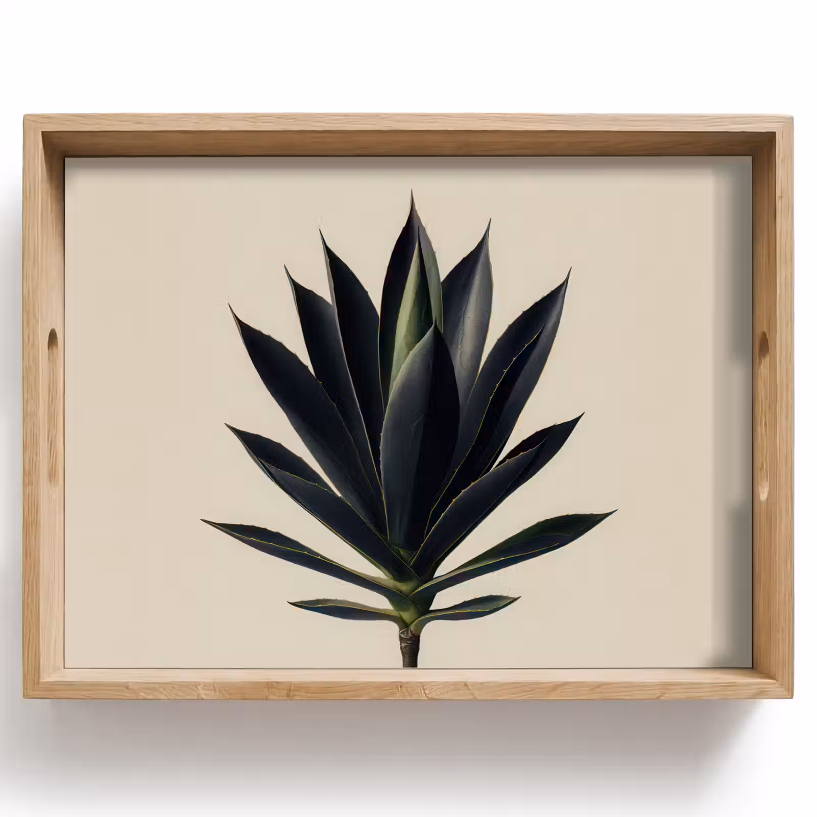 Dienblad - Agaveplant - Symmetrisch - Groen — 1