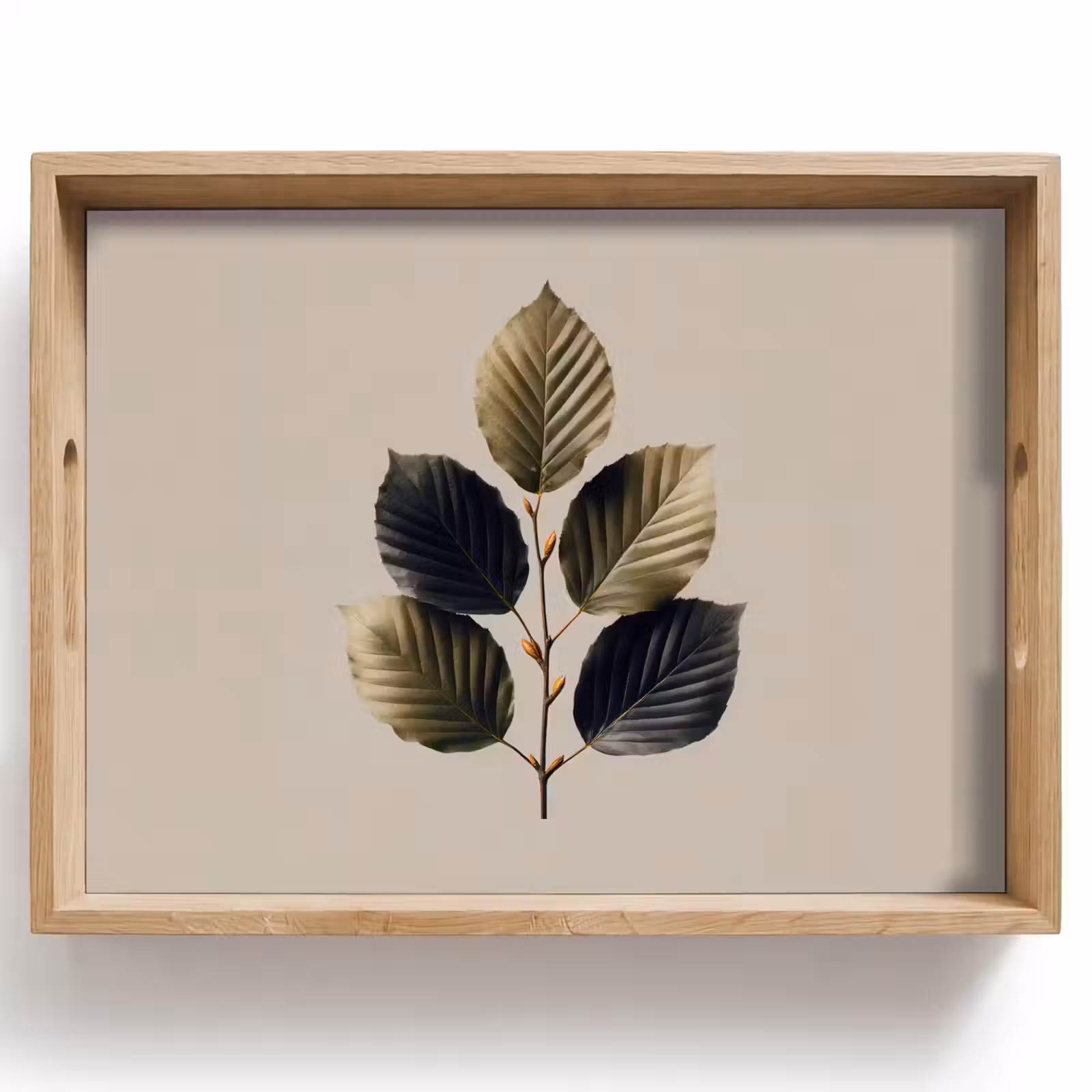 Dienblad - Beukenbladeren - Bruin - Groen - neutraal — 1