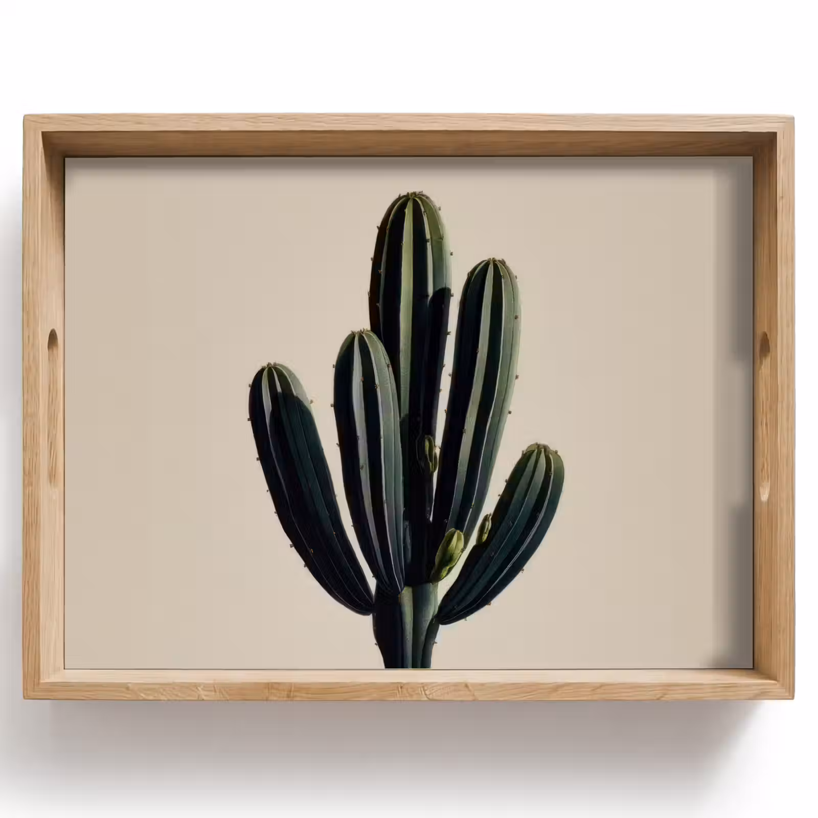 Dienblad - Cactus - Subtiel - Groen — 1