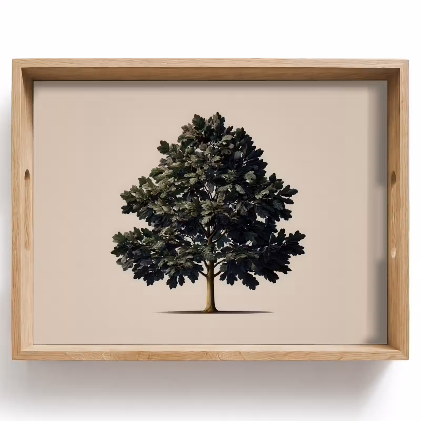 Dienblad - Eikenboom - Schaduw - Egaal — 1