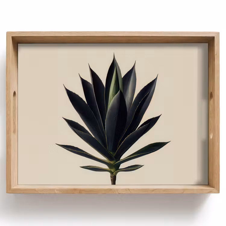 Dienblad - Agaveplant - Symmetrisch - Groen — 1