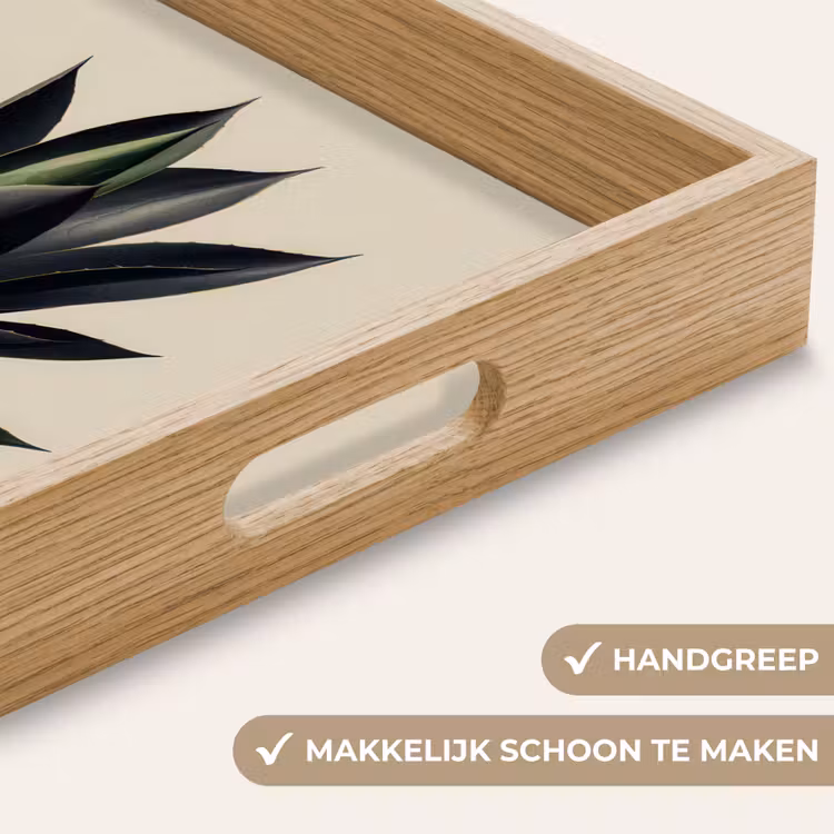 Dienblad - Agaveplant - Symmetrisch - Groen — 5