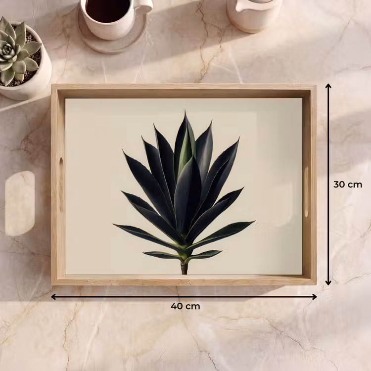 Dienblad - Agaveplant - Symmetrisch - Groen — 9