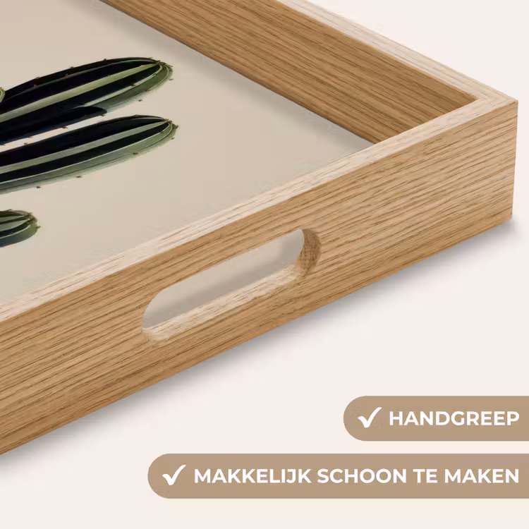 Dienblad - Cactus - Subtiel - Groen — 5
