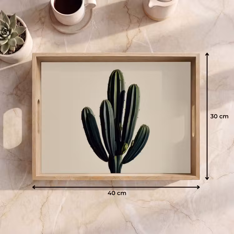 Dienblad - Cactus - Subtiel - Groen — 9
