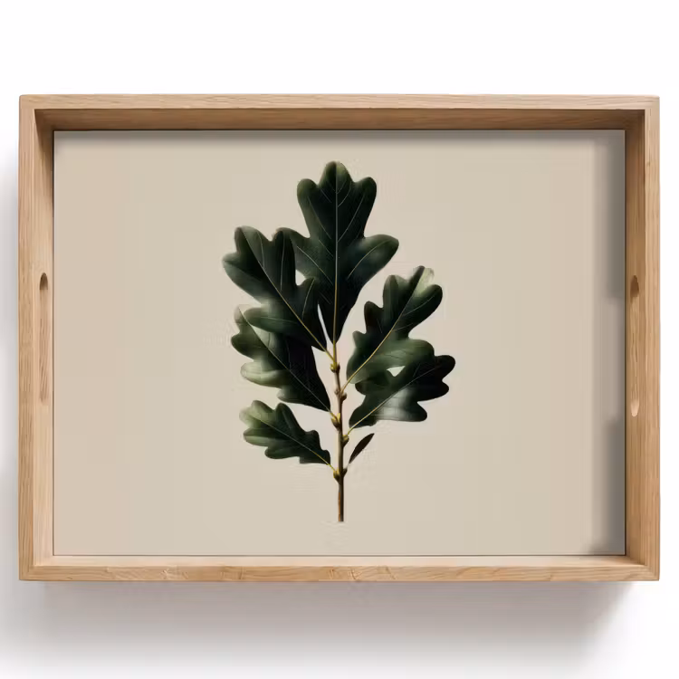 Dienblad - Eikenbladeren - Beige - Groen - Golvende randen — 1