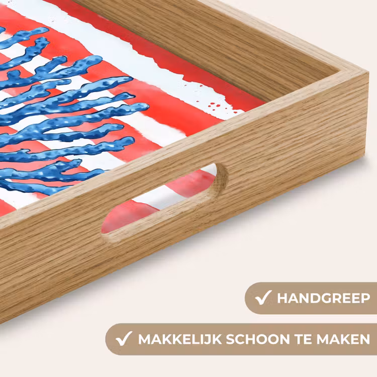 Dienblad - Koraal - Verfstructuur - Rood - Blauw — 5