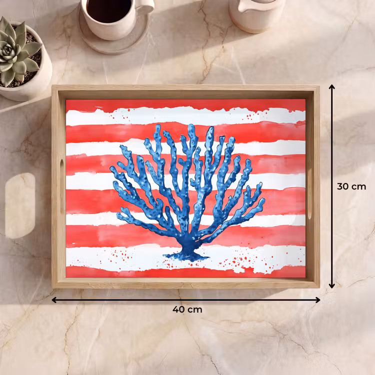 Dienblad - Koraal - Verfstructuur - Rood - Blauw — 9