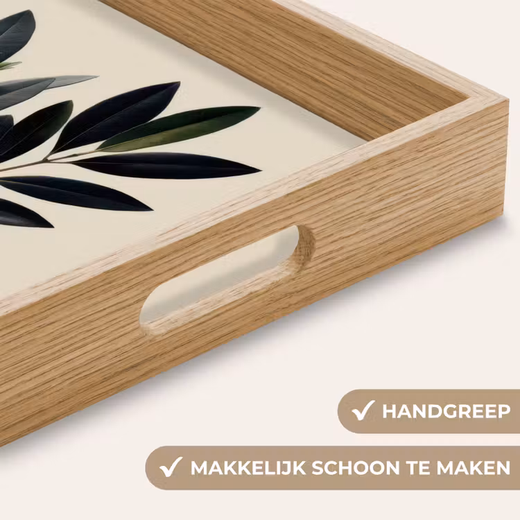 Dienblad - Ovaalvormige bladeren - Diep groen - Symmetrisch — 5