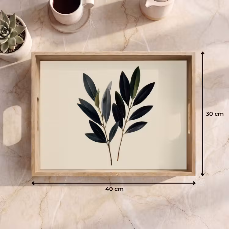 Dienblad - Ovaalvormige bladeren - Diep groen - Symmetrisch — 9