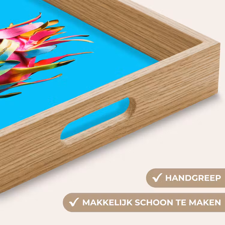 Dienblad - Drakenfruit - Blauw - Levendig — 5