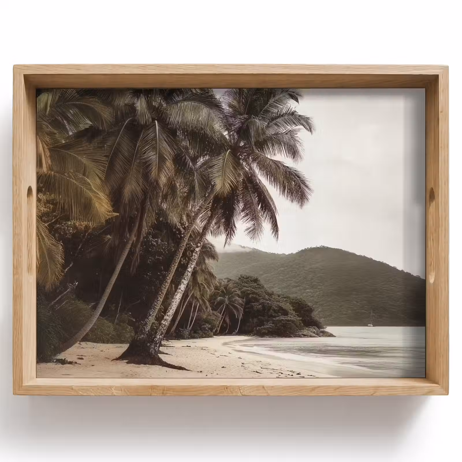 Dienblad - Eiland - Palmboom - Zee — 1