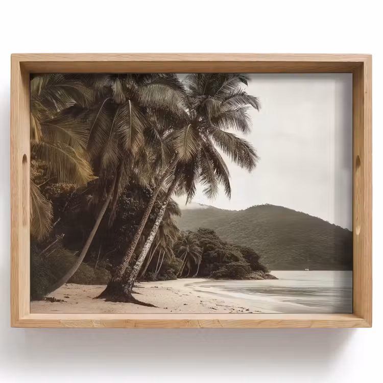 Dienblad - Eiland - Palmboom - Zee — 1