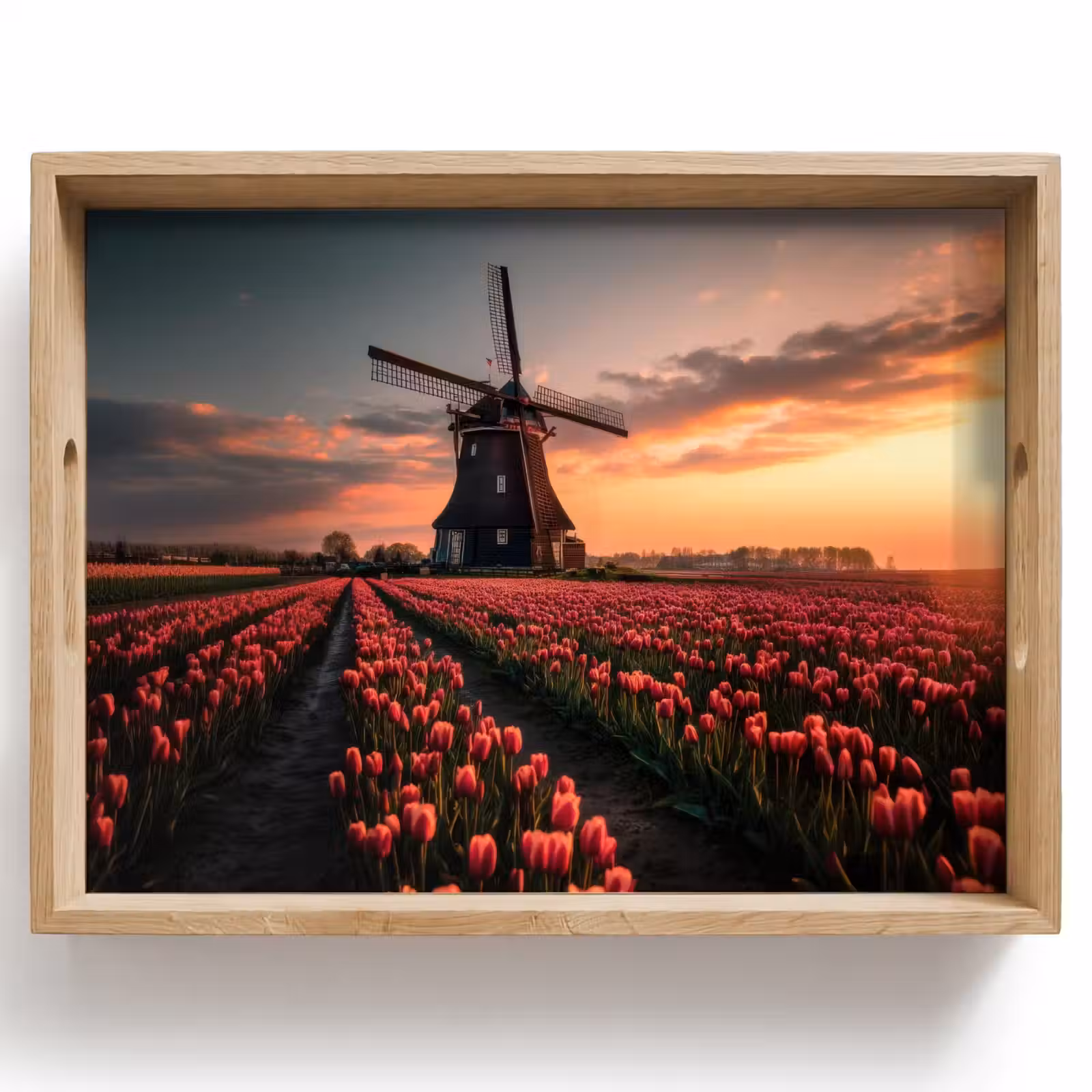 Dienblad - Molen - Zonsondergang - Tulpen - Rood — 1