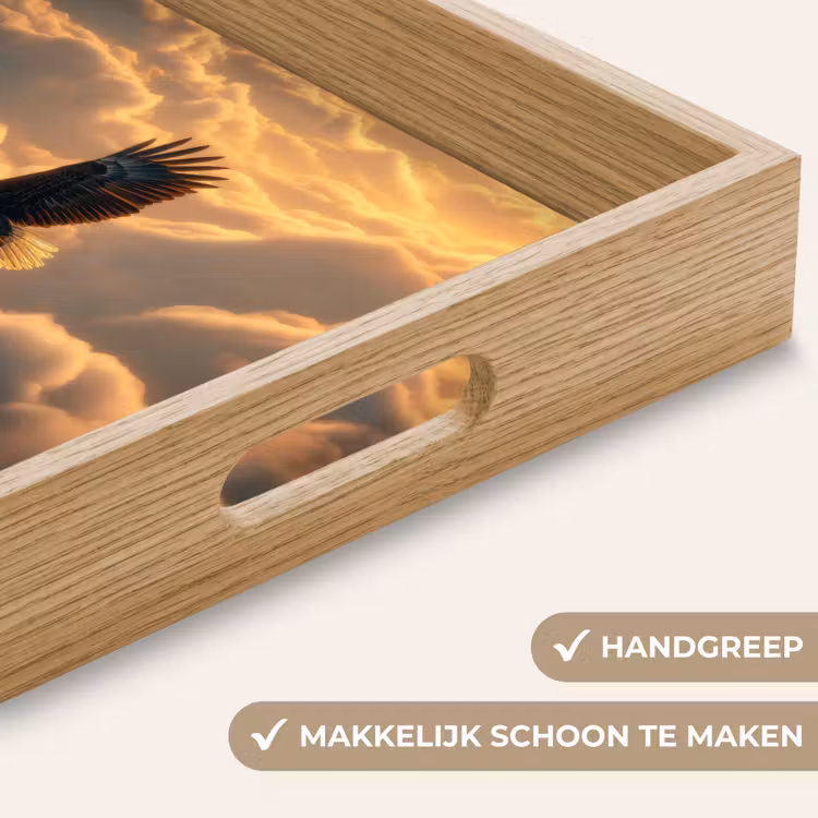Dienblad - Adelaar - Wolken - Zon — 5