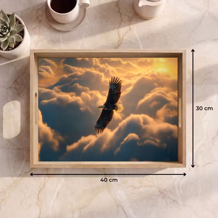 Dienblad - Adelaar - Wolken - Zon — 9