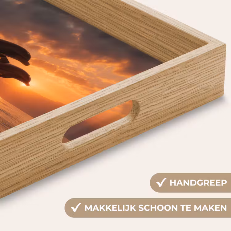 Dienblad - Dolfijnen - Zee - Realistisch — 5