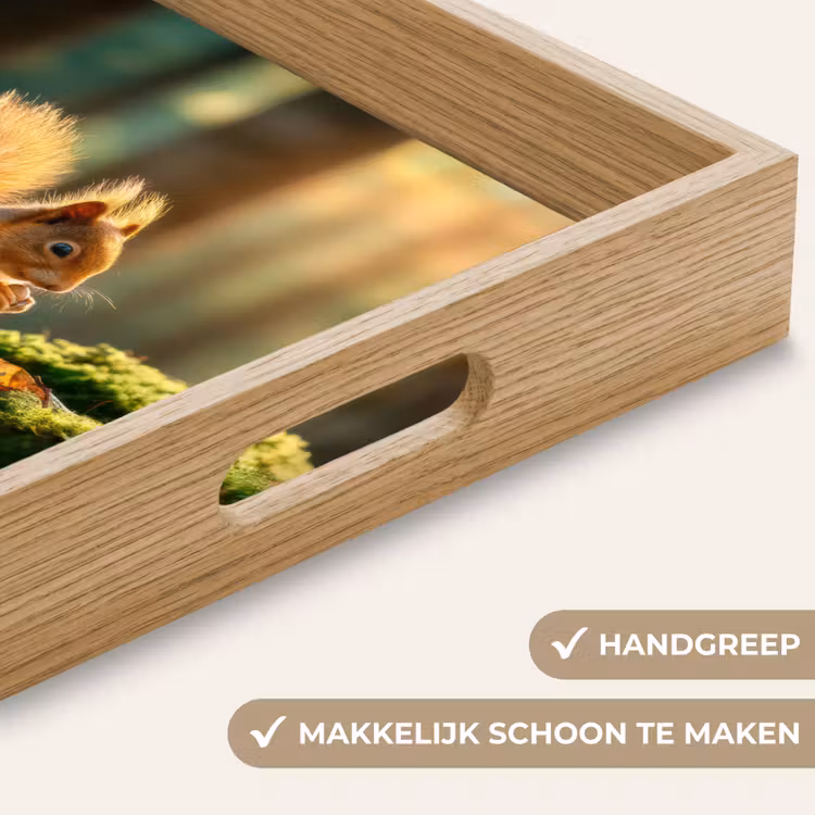 Dienblad - Eekhoorn - Nootje - Gras — 5