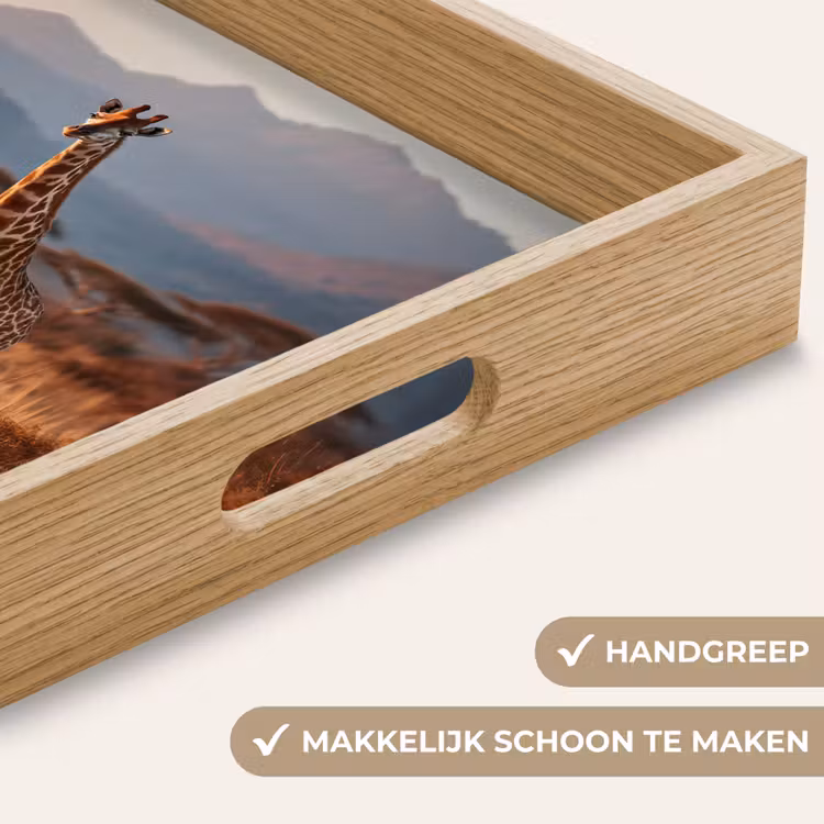 Dienblad - Giraffen - Hoog gras - Acaciabomen — 5